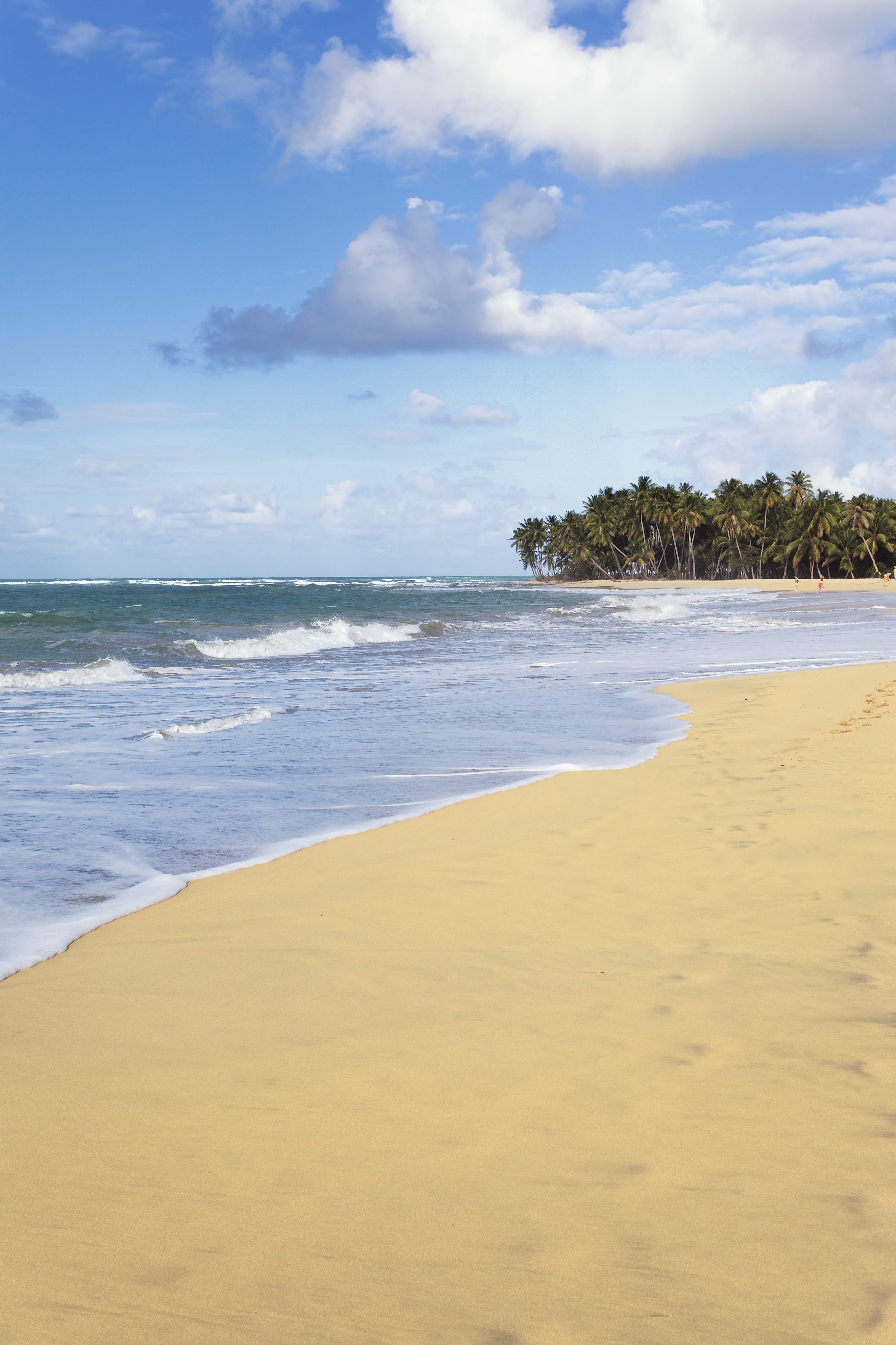 Barbados - Pink Sand Beaches
